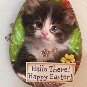 Meet your Posher, Deb